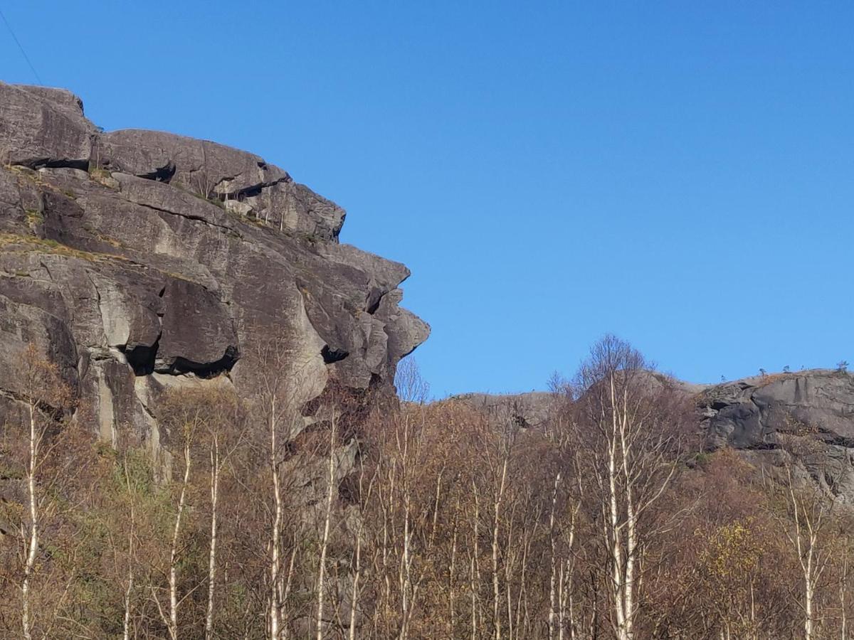 Vikedal Relax Center Hotell Eksteriør bilde